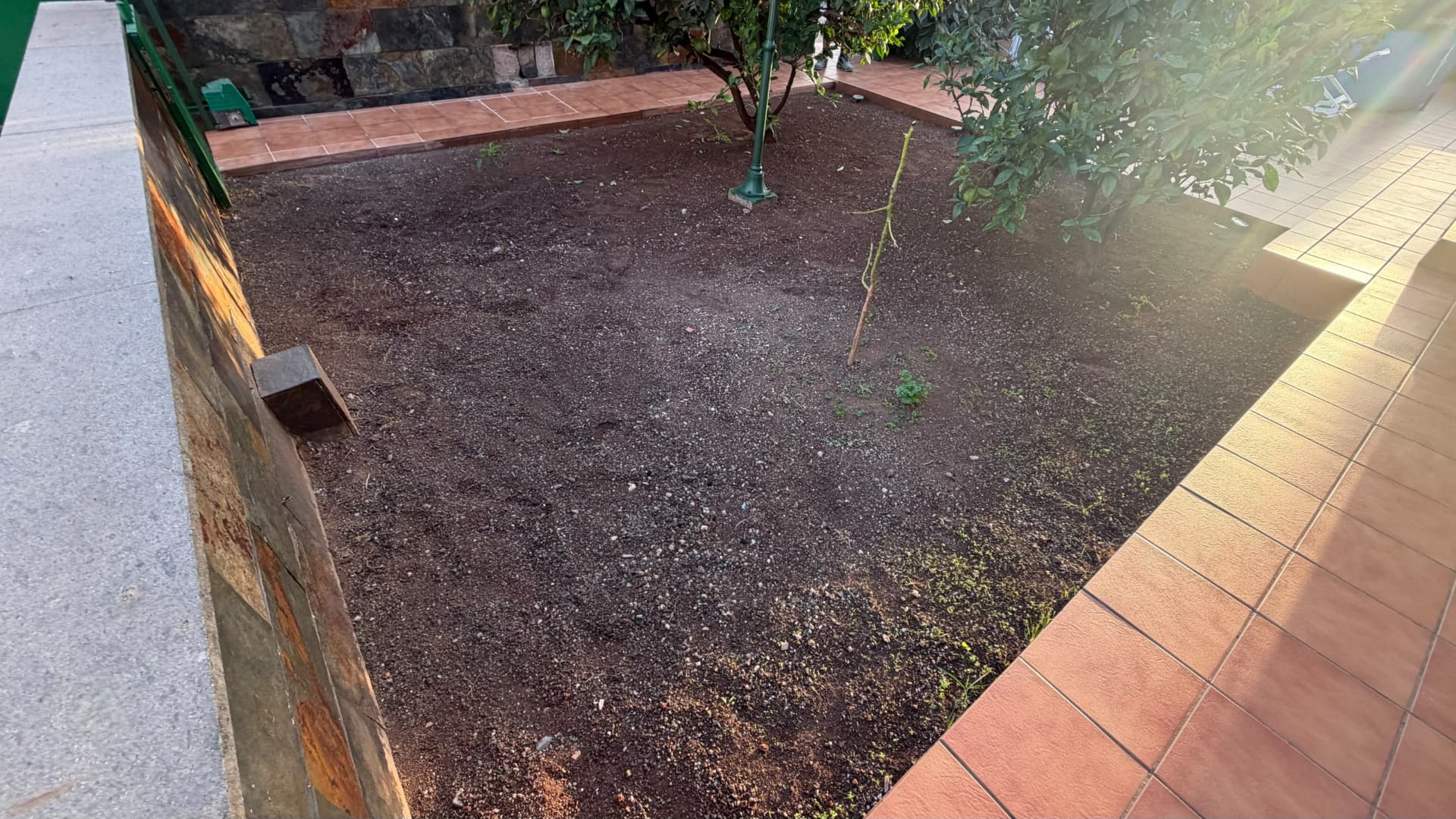 Antes